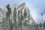 Snowbound Brothers