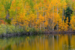 Video Journal – Five Days of Fall Color in the San Juan Mountains