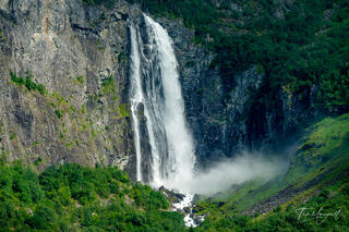 The majestic Feigefossen waterfall cascading down a steep cliffside surrounded by lush green forest, photographed from a cruise ship while sailing through the f