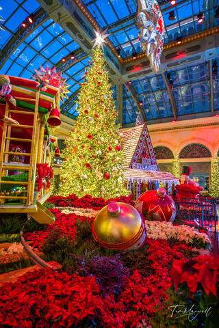 Bellagio Conservatory Christmas decorations featuring a large illuminated Christmas tree and holiday ornaments in Las Vegas