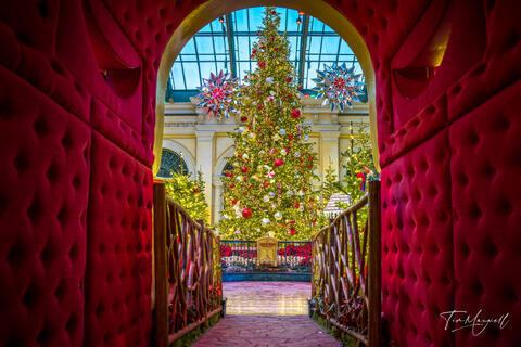 Wide walkway view of the Bellagio Conservatory Christmas display with festive lighting and decorations