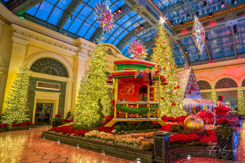 Wide view of the Bellagio Conservatory Christmas display with decorated trees and festive installations in Las Vegas