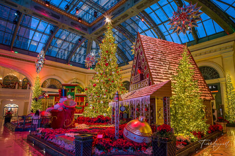 Bellagio Conservatory holiday scene with Christmas trees, festive lighting, and seasonal decor in Las Vegas