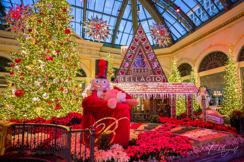 Christmas decorations inside the Bellagio Conservatory featuring themed displays and illuminated trees