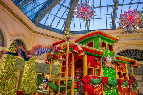 Bellagio Conservatory Christmas decorations with illuminated trees and festive holiday scenery