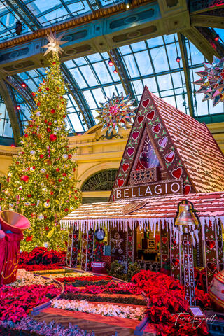 Bellagio Conservatory holiday decor featuring Christmas trees, a gingerbread house, ornaments, and seasonal installations