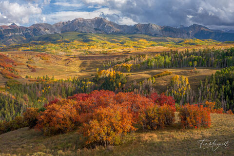 Why Real Landscape Photography Matters in the Age of AI