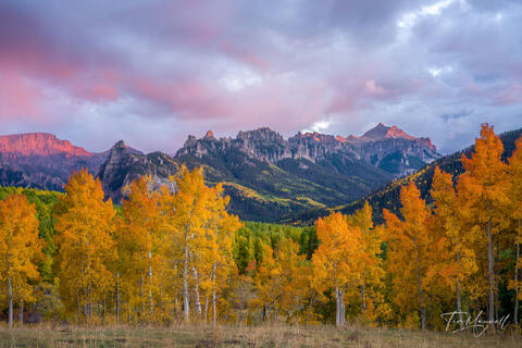 Fine art landscape photograph of alpenglow over the San Juan Mountains near Ridgway, Colorado, with pink-lit peaks and glowing golden aspens at sunset.
