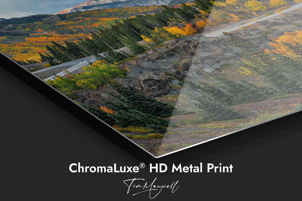 ChromaLuxe® HD Metal Prints