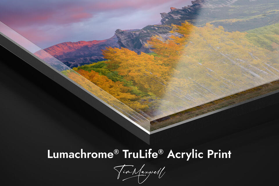 Lumachrome® TruLife® Acrylic Prints