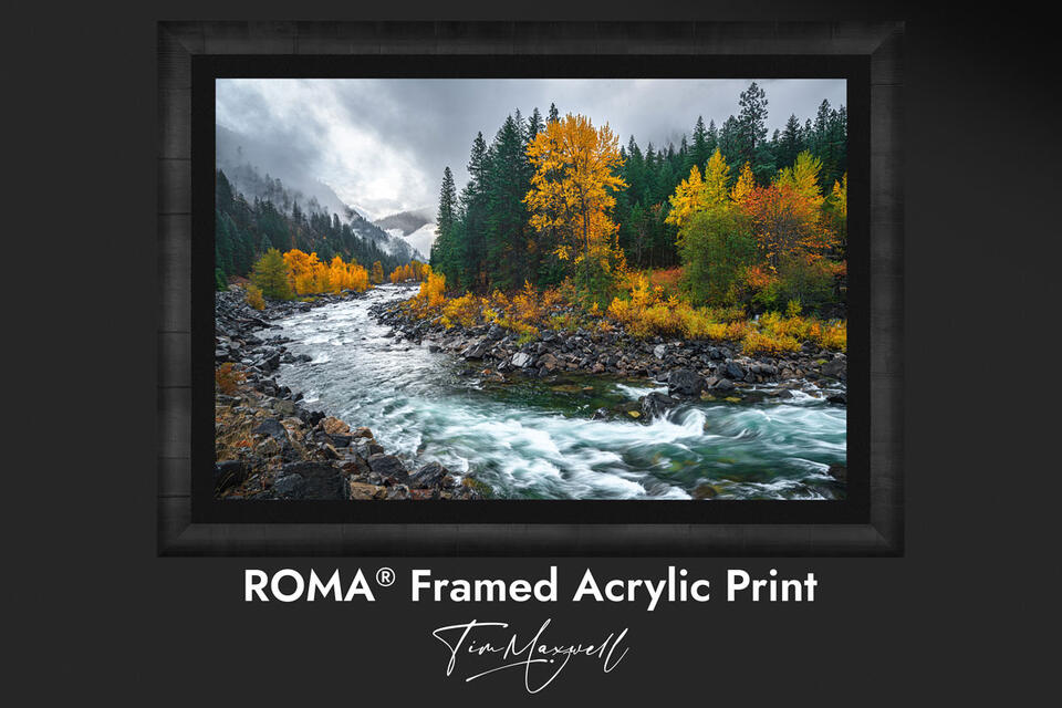 ROMA® Moulding Italian Wood Framed Prints